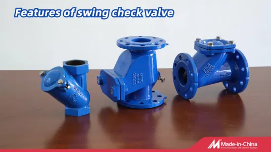 Durable Swing Check Valve for Efficient Fluid Control Solutions
